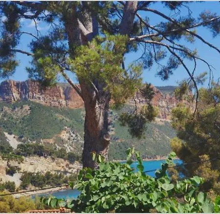 Rocaille Villa Cassis